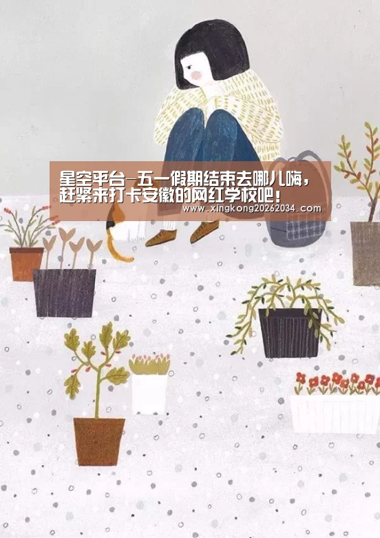 星空平台