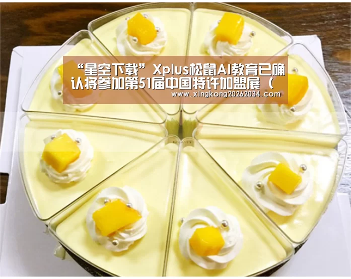 “星空下载”Xplus松鼠AI教育已确认将参加第51届中国特许加盟展(武汉)(图4) 星空官方