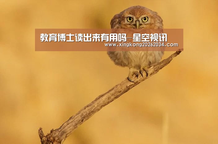 教育博士读出来有用吗-星空视讯(图1) 星空平台