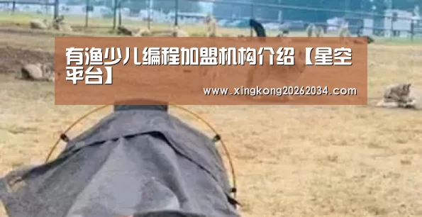 有渔少儿编程加盟机构介绍【星空平台】(图1) 星空下载